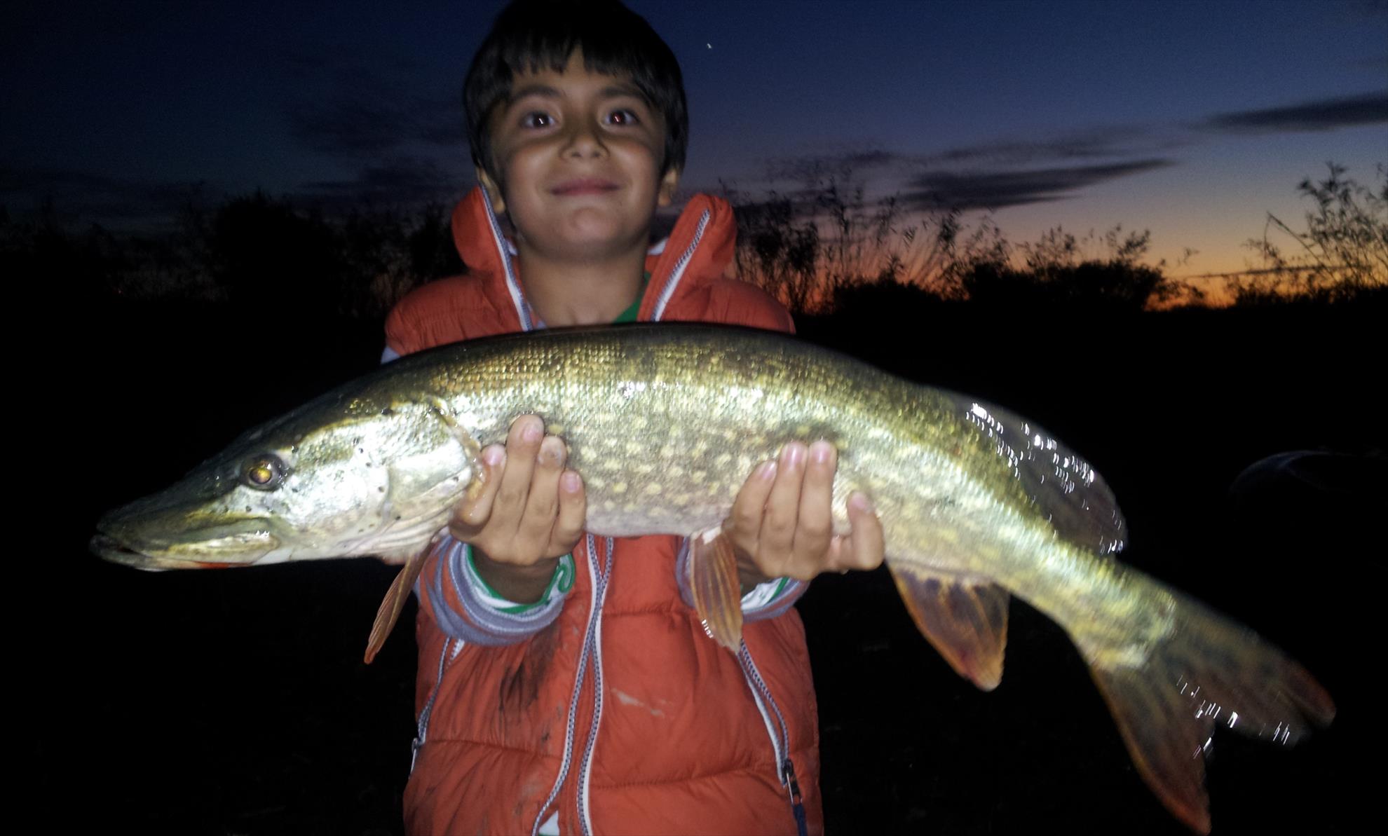 RAPITOR - 20131108173111.jpg